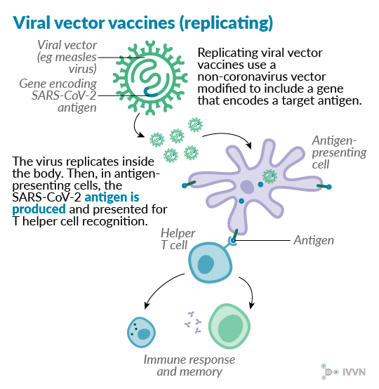 COVID19 vaccine the eight technologies being tested IVVN